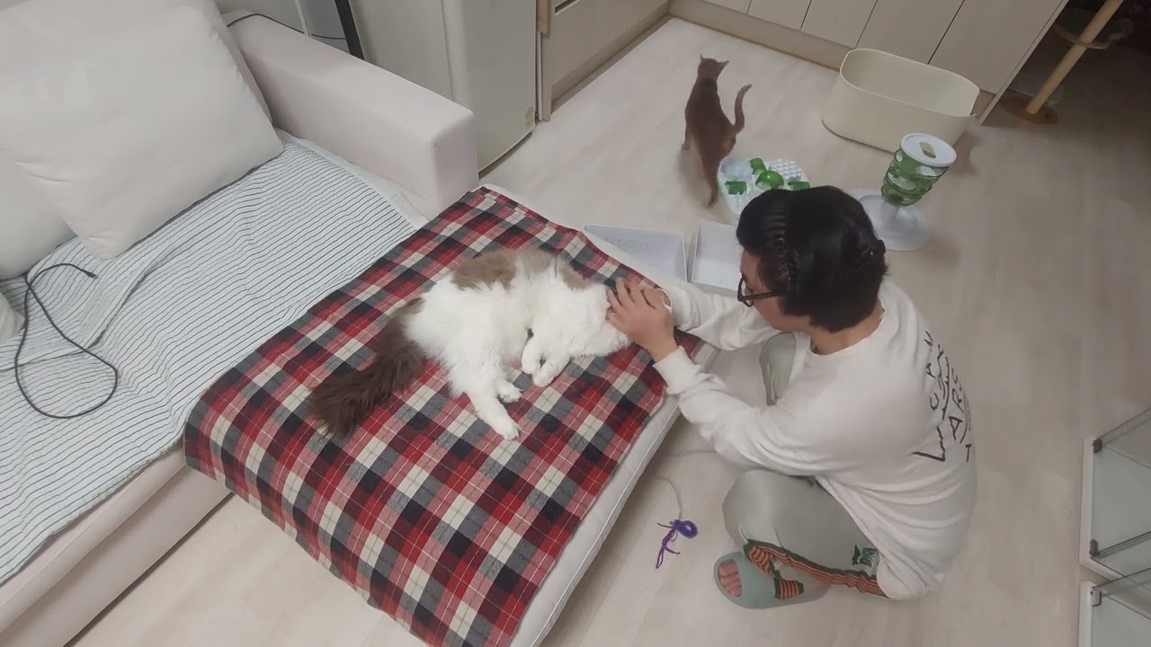 코코 귀닦아~