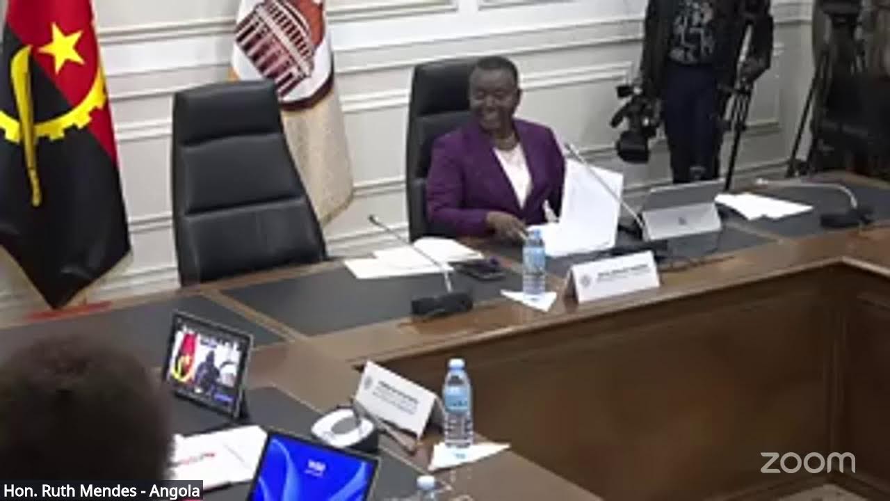 UNCTAD–SADC PF Virtual Training for MPs on Regional Trade Integration – Session 3