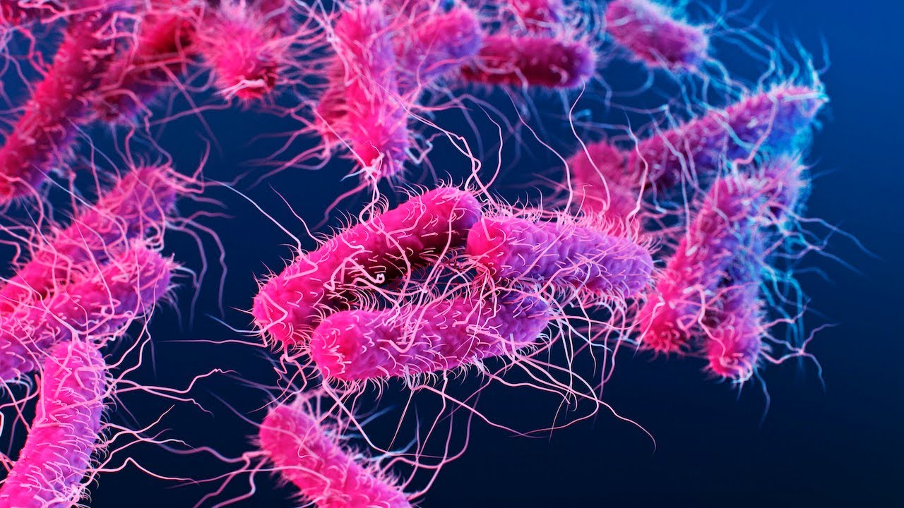Ask Dr. Agus: Drug-resistant Shigella bacteria, insulin price drop, and more
