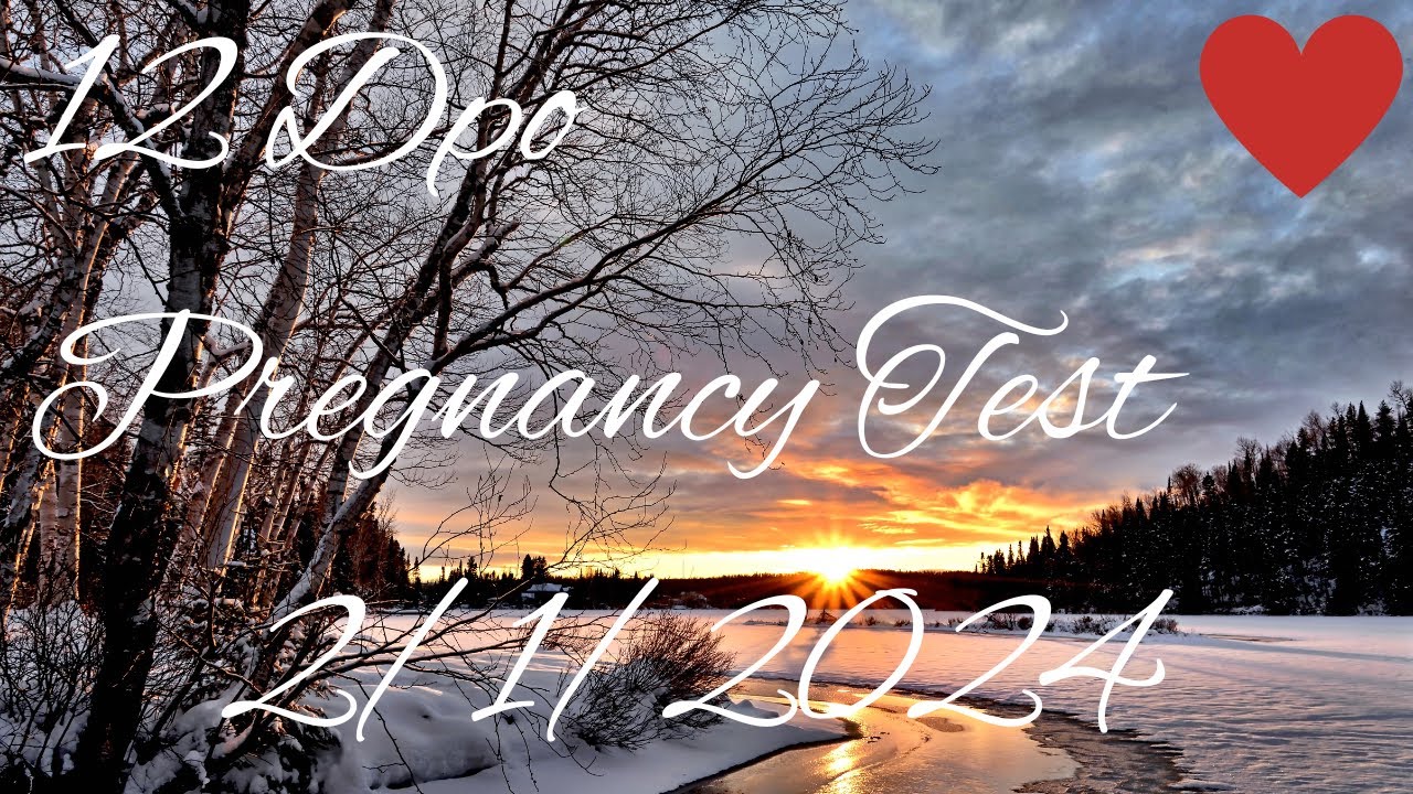 12 Dpo Pregnancy Test-February 1 2024