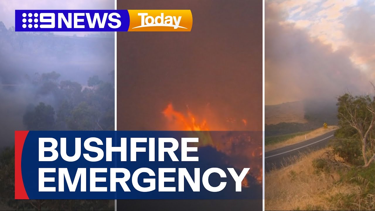 Dangerous bushfire forces urgent emergency warnings in South Australia | 9 News Australia