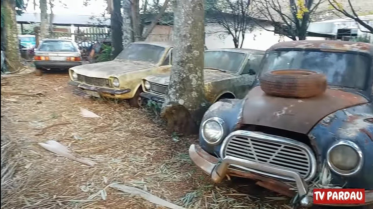 O Maior Colecionador de Carros Antigos do Brasil