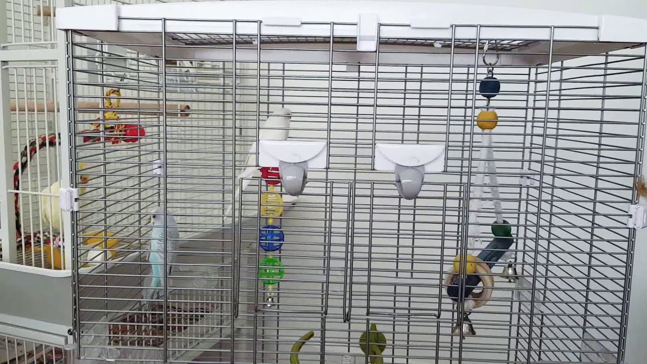 Review Vision Bird Cage -medium (no music)