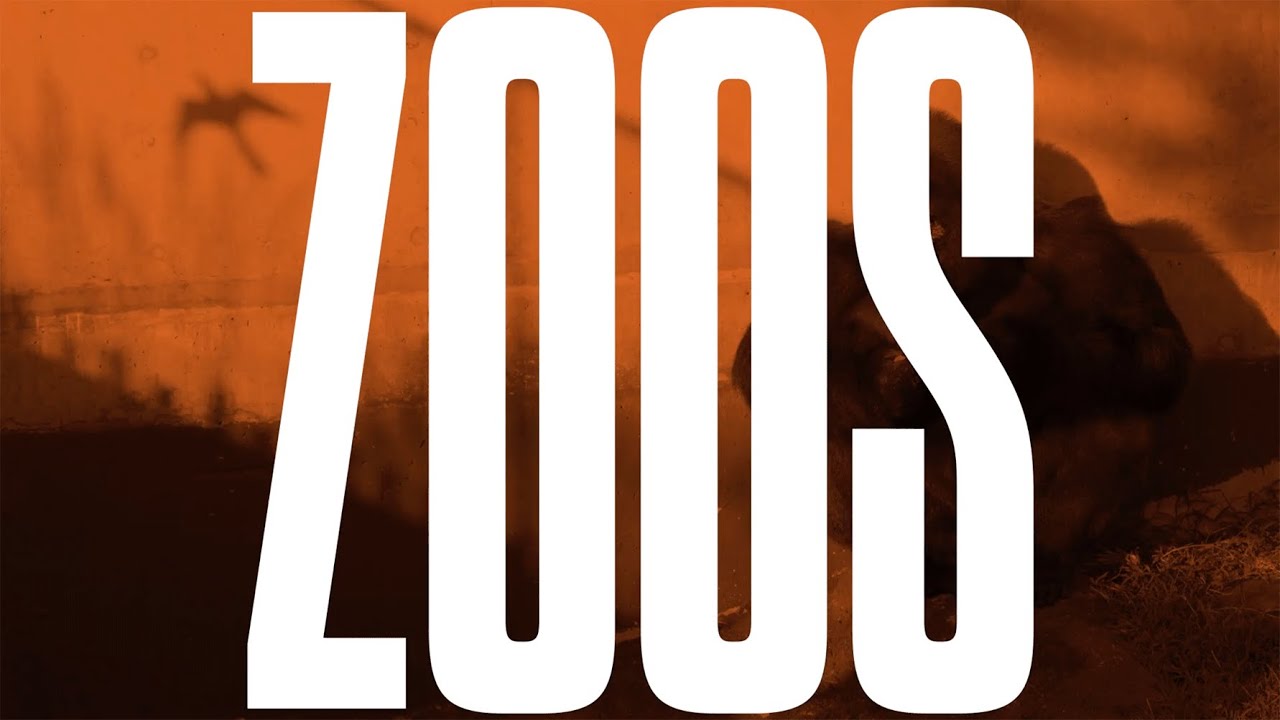 Zoos Enrich Our Lives but Cost Animals Their Dignity, Says Bill Nye  | Big Think