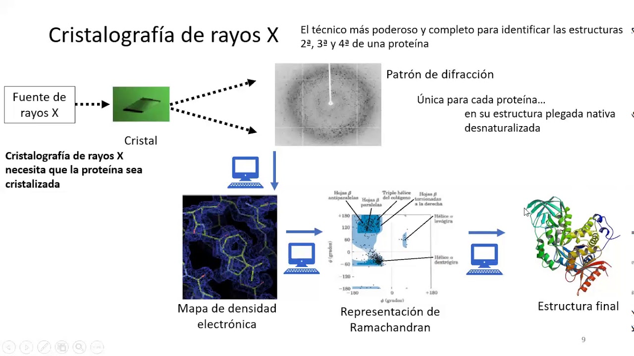 7 Cristalografía de rayos X