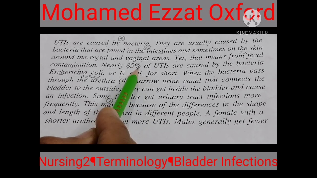 الثاني تمريض¶ترمنولوجي¶الوحدة 10¶ أمراض المثانة. Nursing2¶Terminology¶The Bladder Infections.