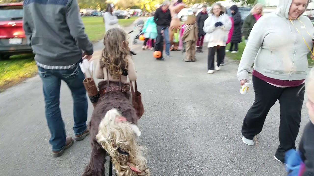 Homemade Centaur Costume