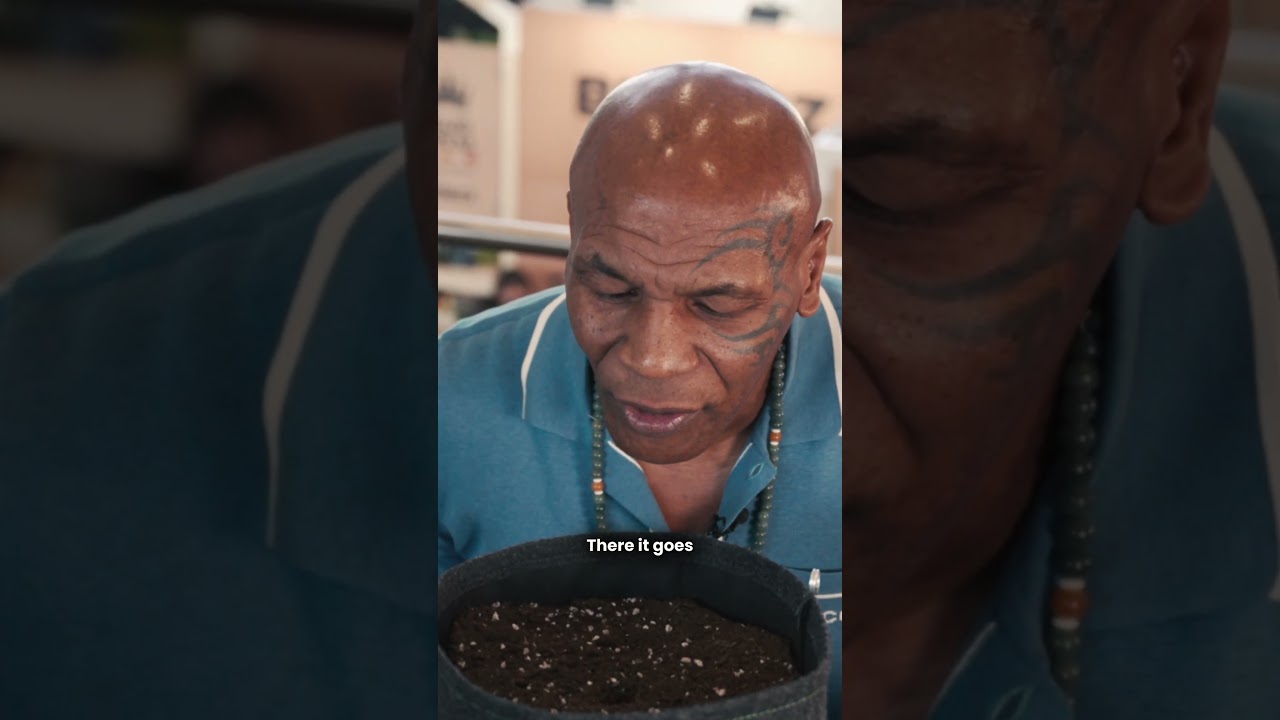 Mike Tyson tries Royal Queen Seeds at Mary Jane Berlin