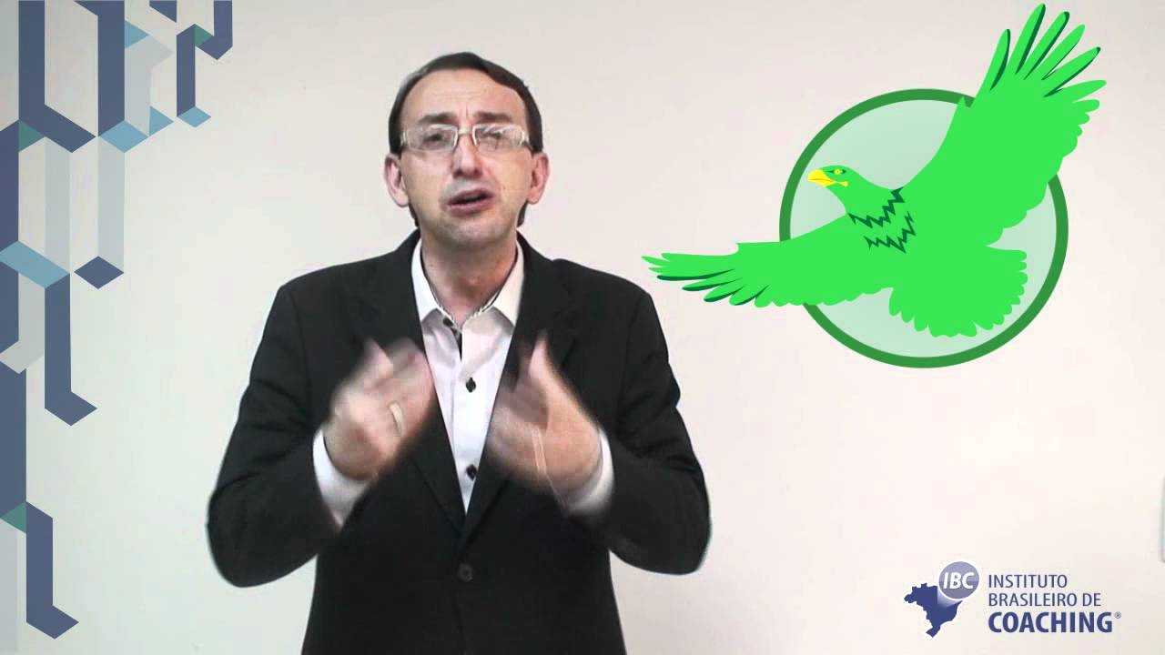 IBC Coaching - Perfil Comportamental - Águia