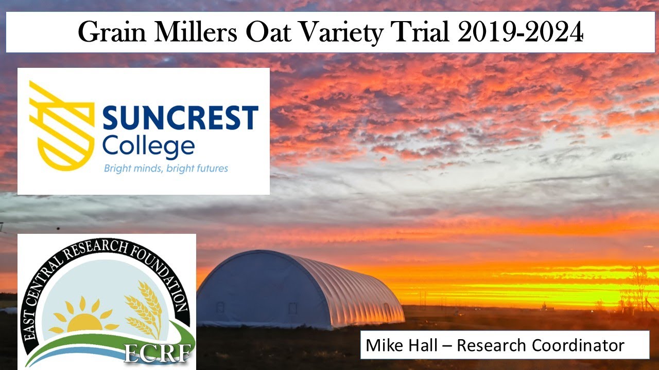 Grain Millers Oat Variety Trials 2019 to 2024