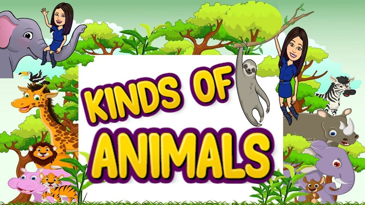 Kinds of Animals | Animals | Science | Matatag | Teacher Beth Class TV