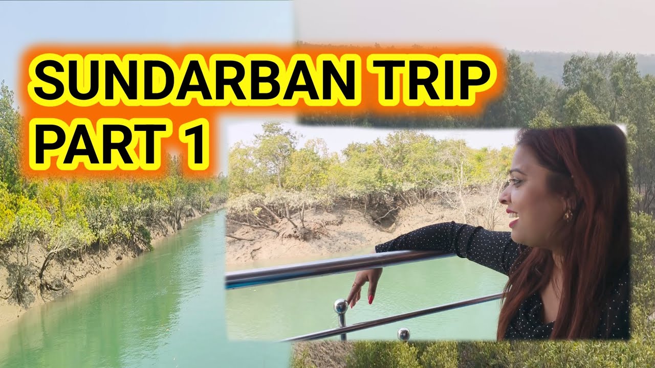 First time SUNDARBAN TRAVEL 👆👆DO NOT SKIP👆#plzzlikeandsubscribe #plzzsupportme 🙏🙏