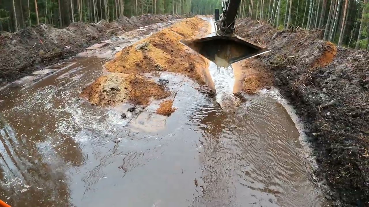 Footage From Forest Work - Part 12