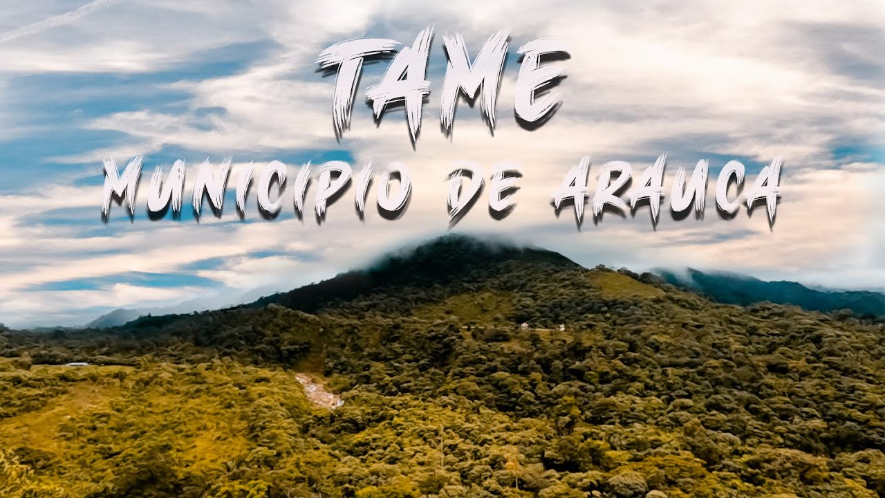 Tame Arauca
