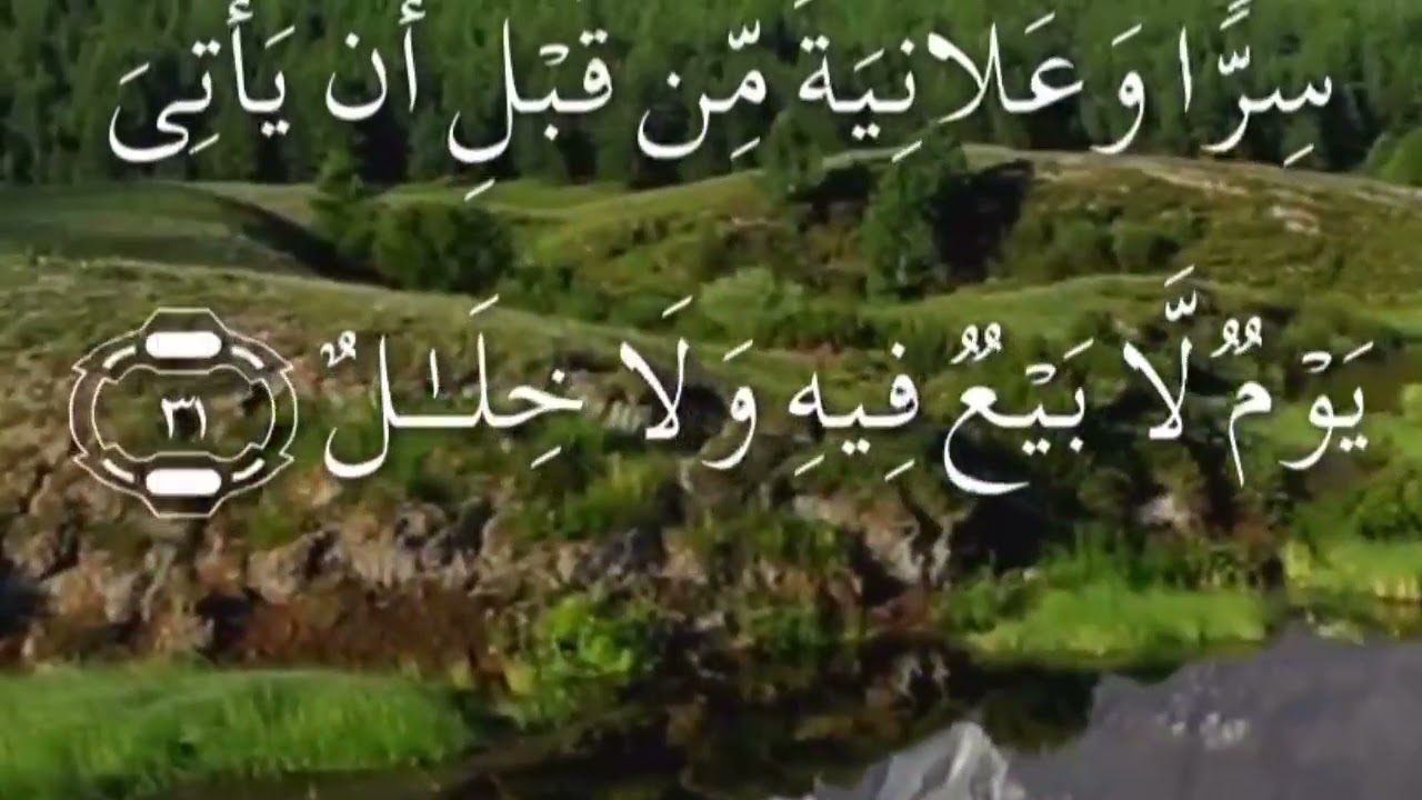 سورة ابراهيم صفحة ٢٥٩ مكتوبة مكررة بصوت سعد الغامدي