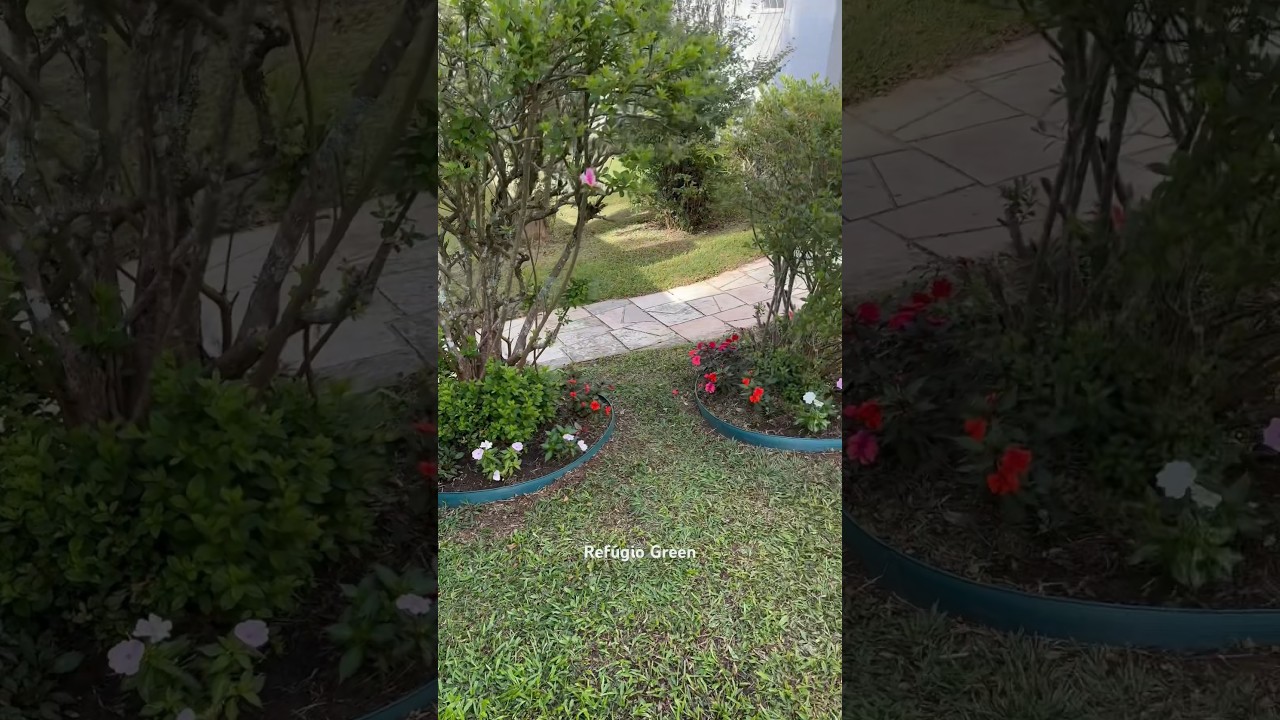 Jardim com flores (Sunpatiens)🌿 #garden #flowers