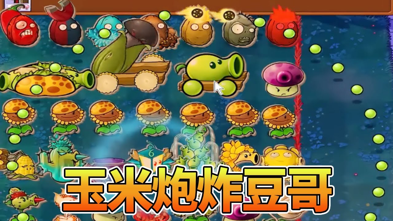 【植物大战僵尸合集】开局玉米炮炸豆哥？人家是队友