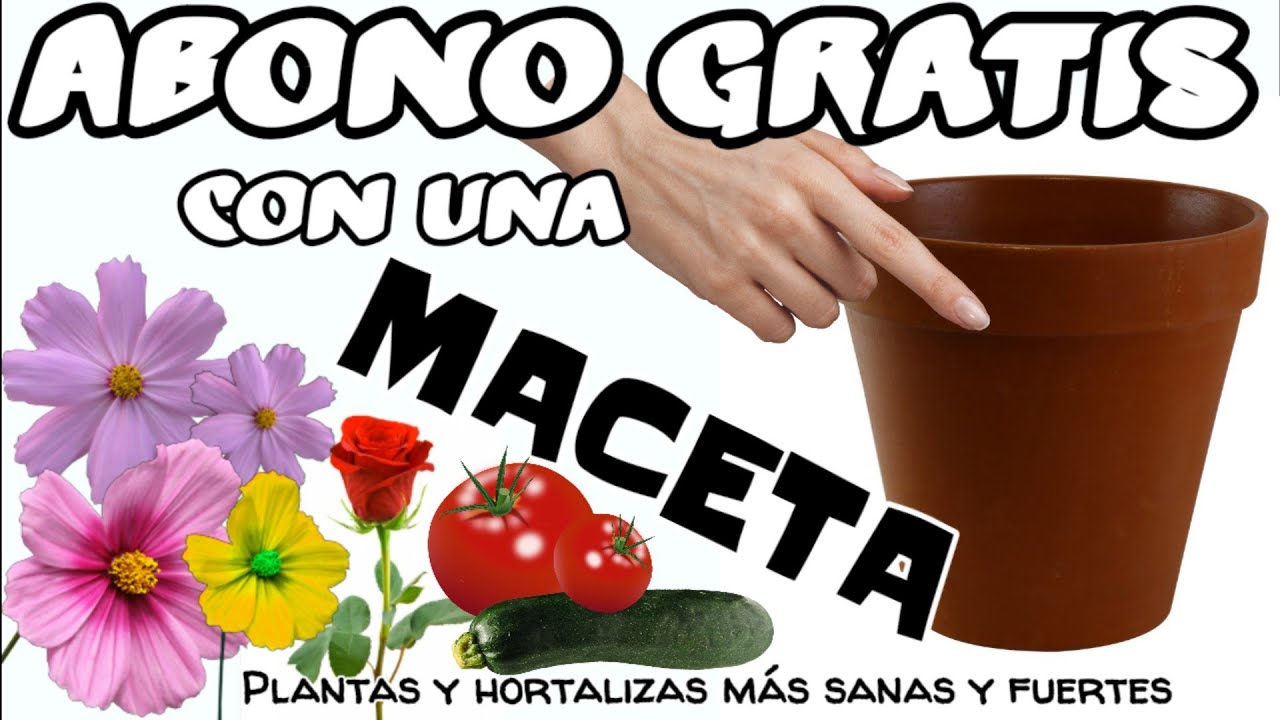 ☑️ABONO CASERO EN UNA MACETA fabrica tu propio compost Abono casero gratis Reciclar macetas DIY
