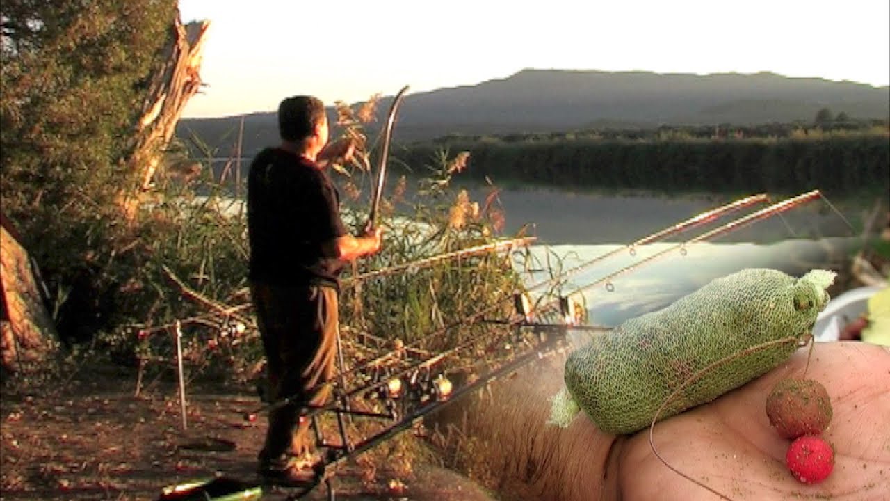 Carp Fishing - Feeding Carp - Tips | Pecanje šarana - Španija reka Ebro 2