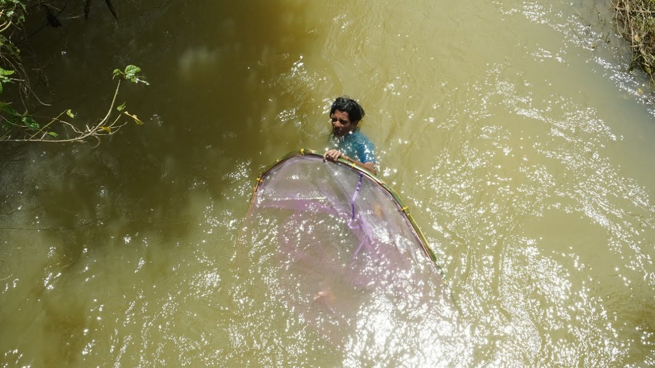 ഒഴുക്കുള്ള തോട്ടിൽ മീൻ പിടിക്കാൻ ഇറങ്ങിയതാ !😅| Fish trap | Placed in a flowing river