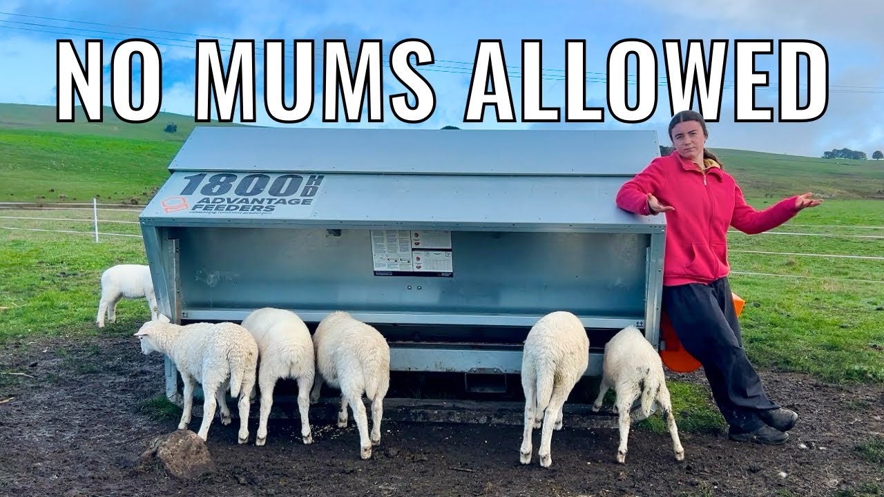 Why Don't Australian Farmers Do This?