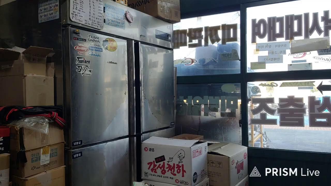 추자오리 라이브 방송
