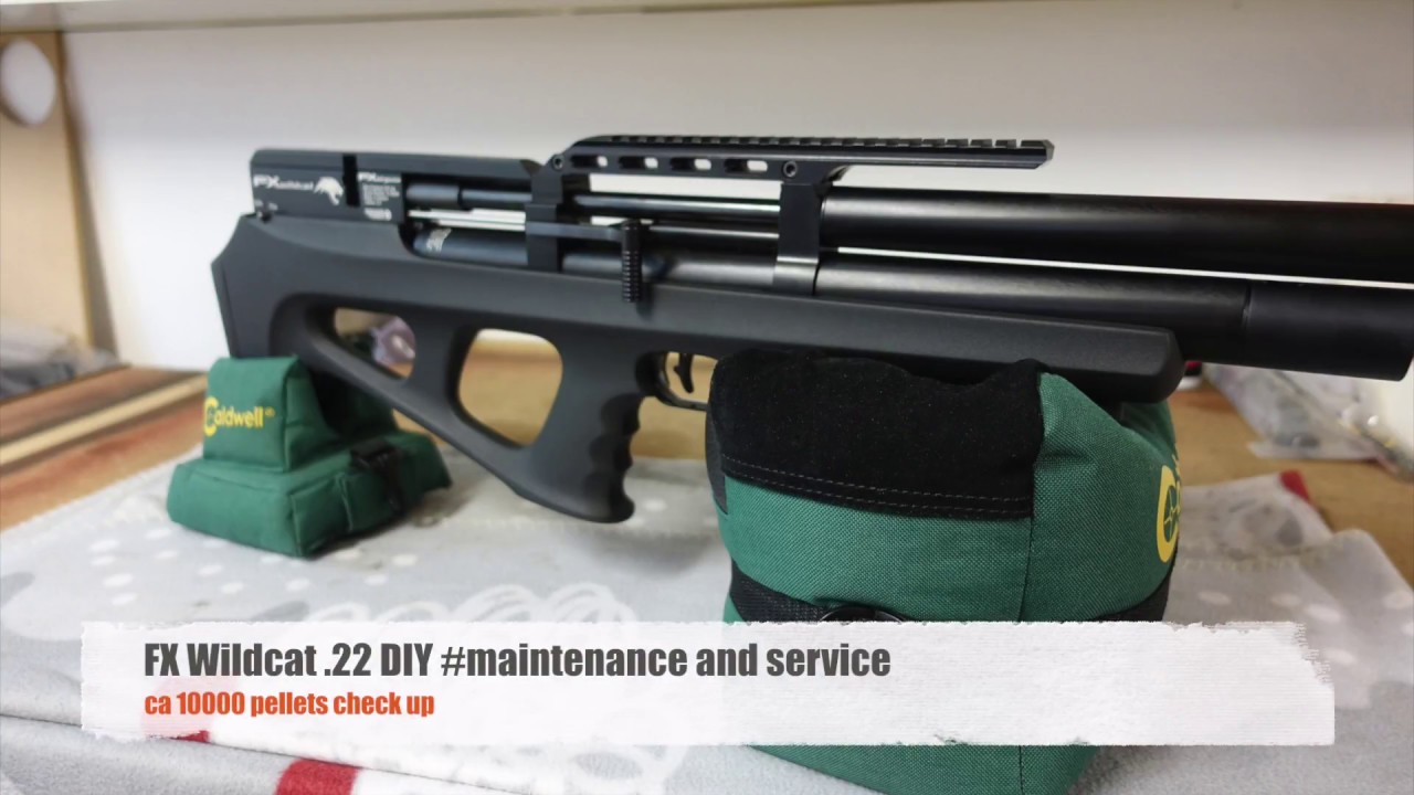 FX Wildcat .22 DIY #maintenance and service