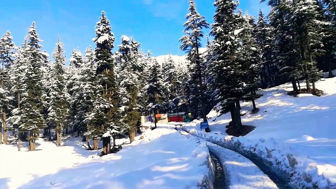 Ushu Forest (Kalam Forest) 15th of January 2022
