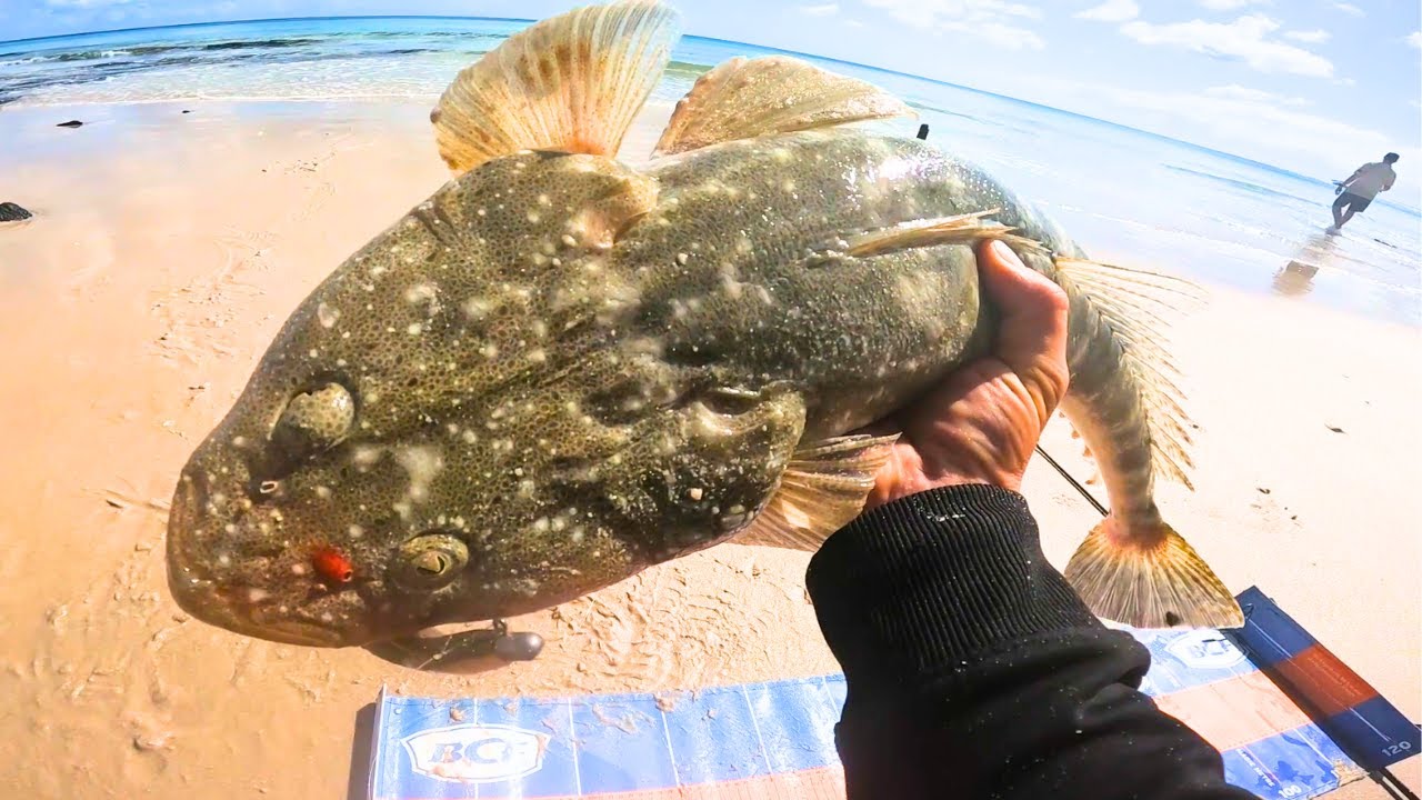 Hervey Bay GIANTS On The Flats! | PB's