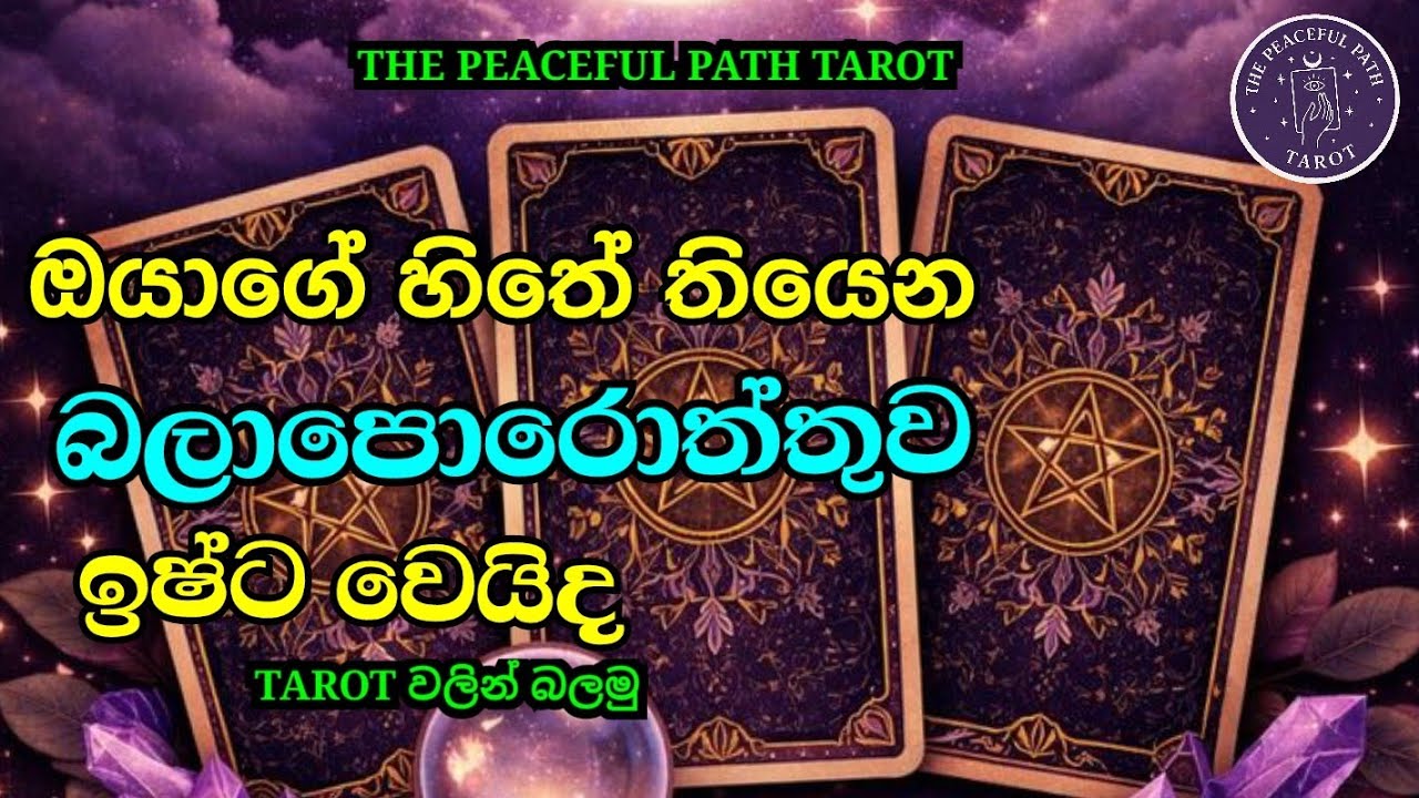 ඔයාගේ හිතේ තියෙන බලාපොරොත්තුව ඉශ්ට වෙයිද කියලා බලමුද @PEACEFULPATHTAROT-11 #tarot #astrology 