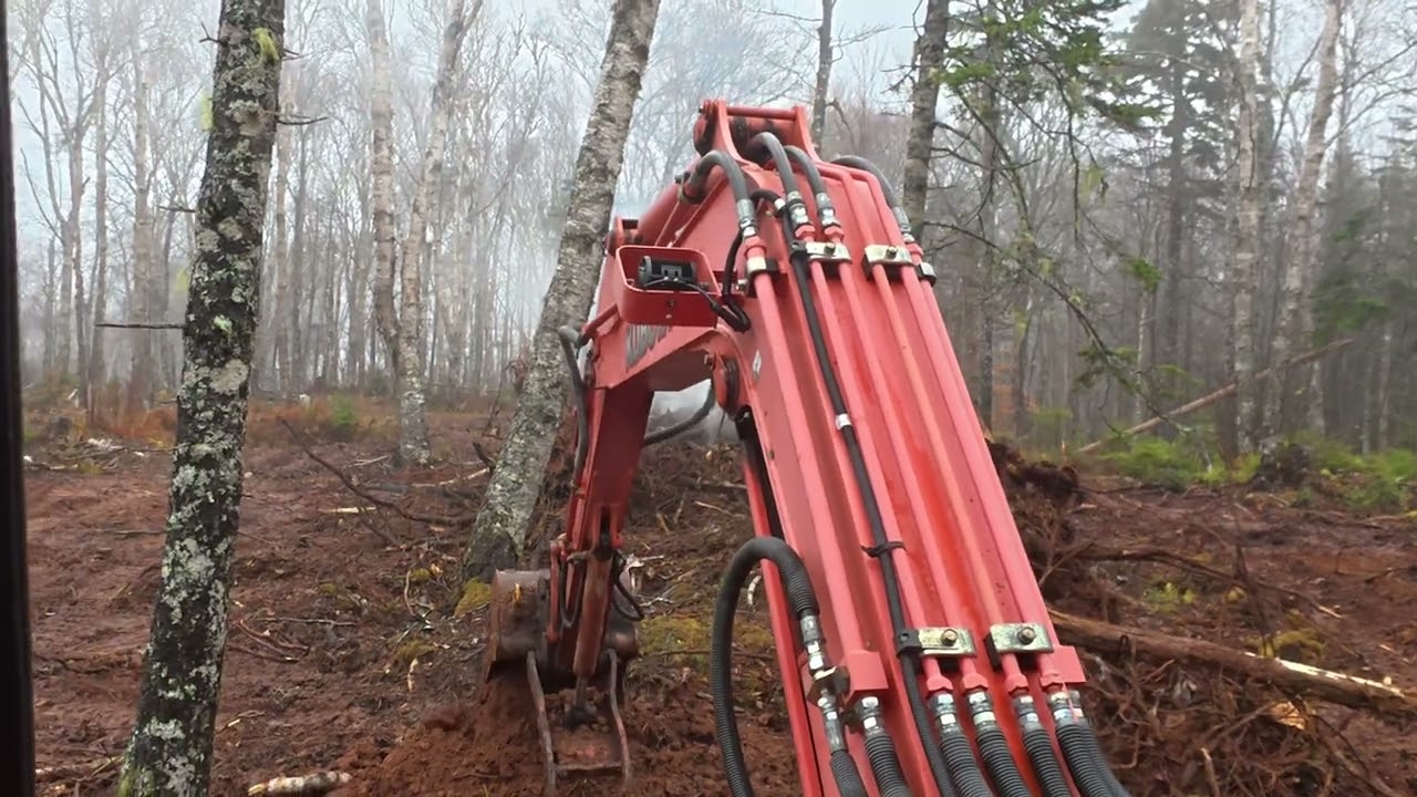 Clearing Land and digging out a small pond