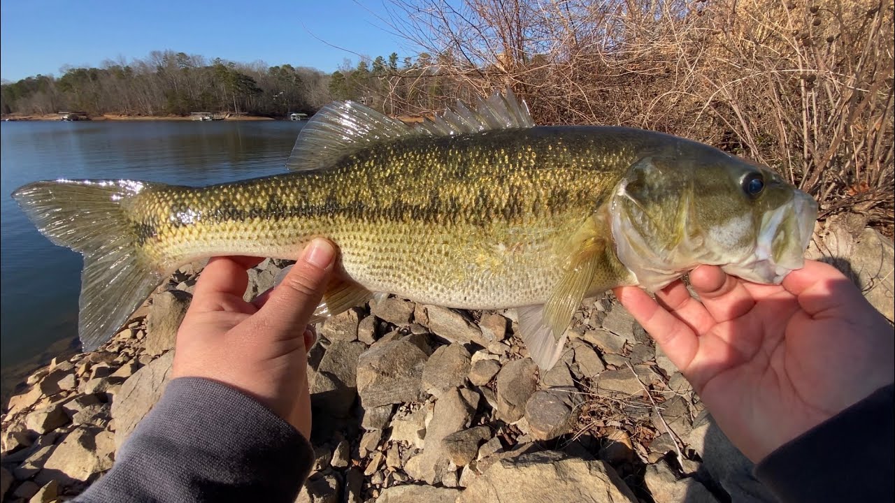 Starting Off The 2026 Season With The CAST NOVA - Lake Lanier Finesse Bank Fishing ￼