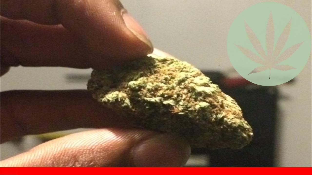 Lambo Og - All About This Strain