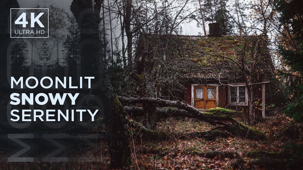Calming Meditation with Rural Serenity & Melodic Tunes #sleep #piano