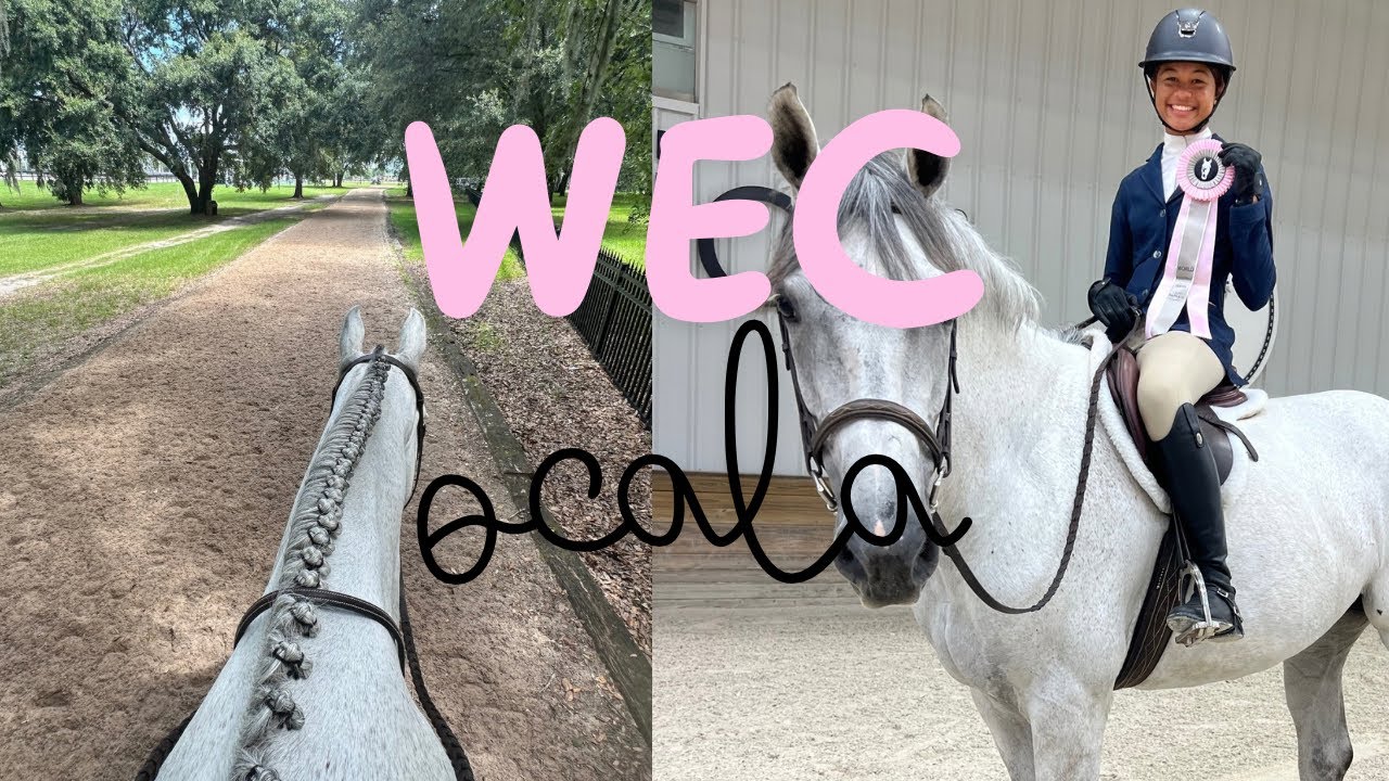 wec ocala 2024 vlog!!🌴⭐️🐴