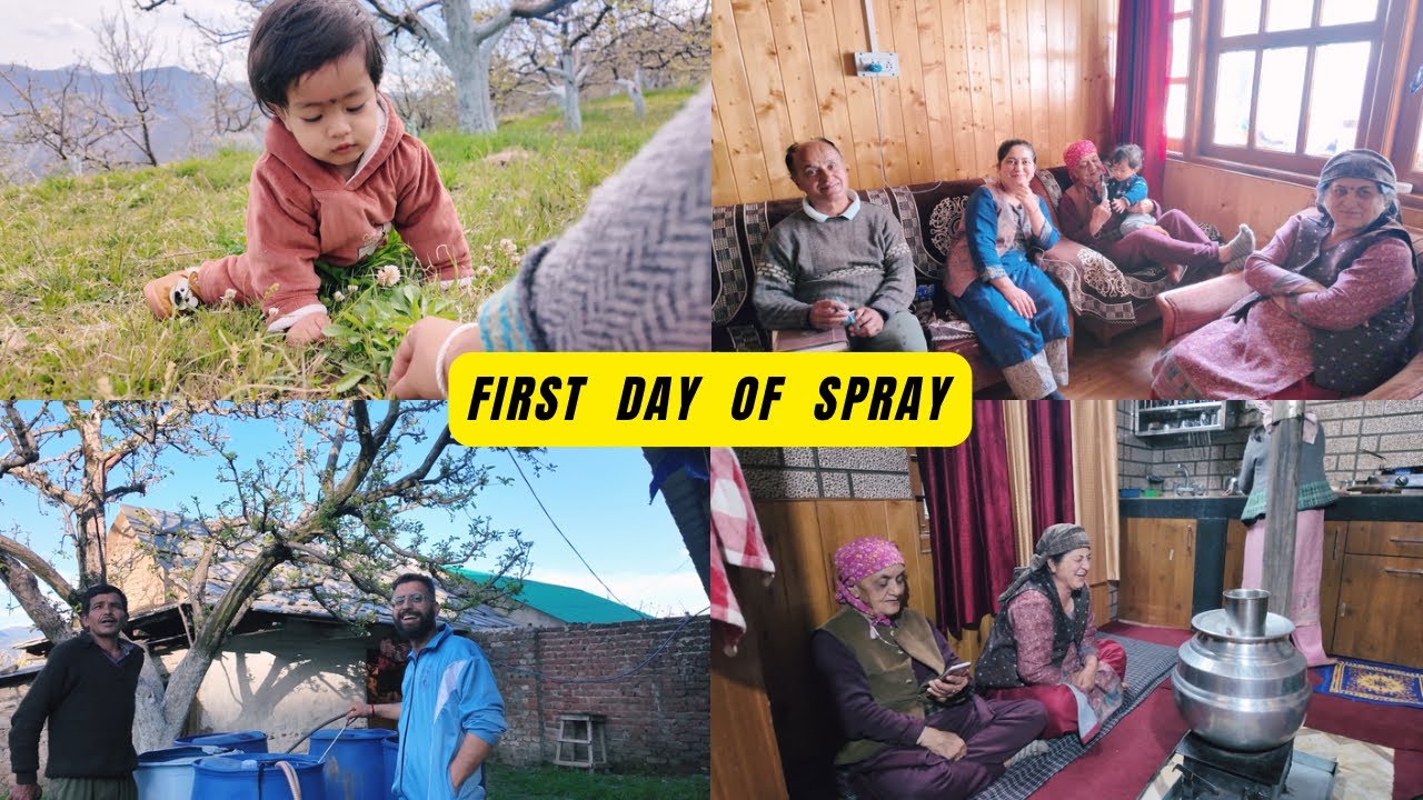 Maximum Pink Bud Stage Aagaye // Ghar Ke Pass Wale Orchard Mai Kiya Spray 