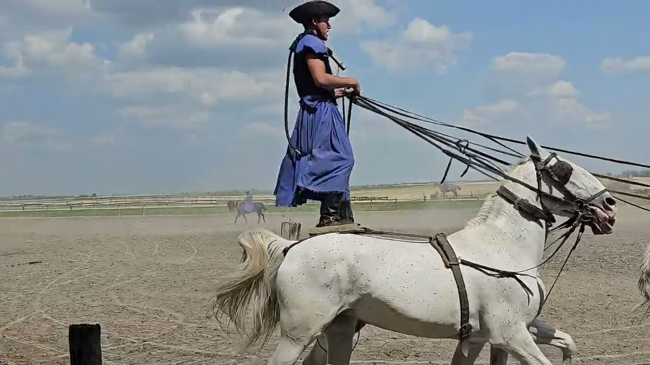 The Magyar Cowboys