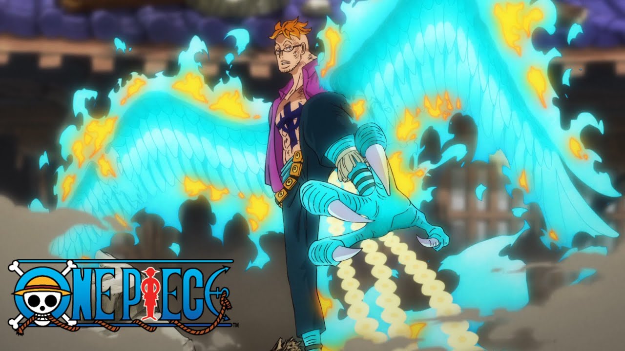 ماركو ضد كينغ وكوين | One Piece