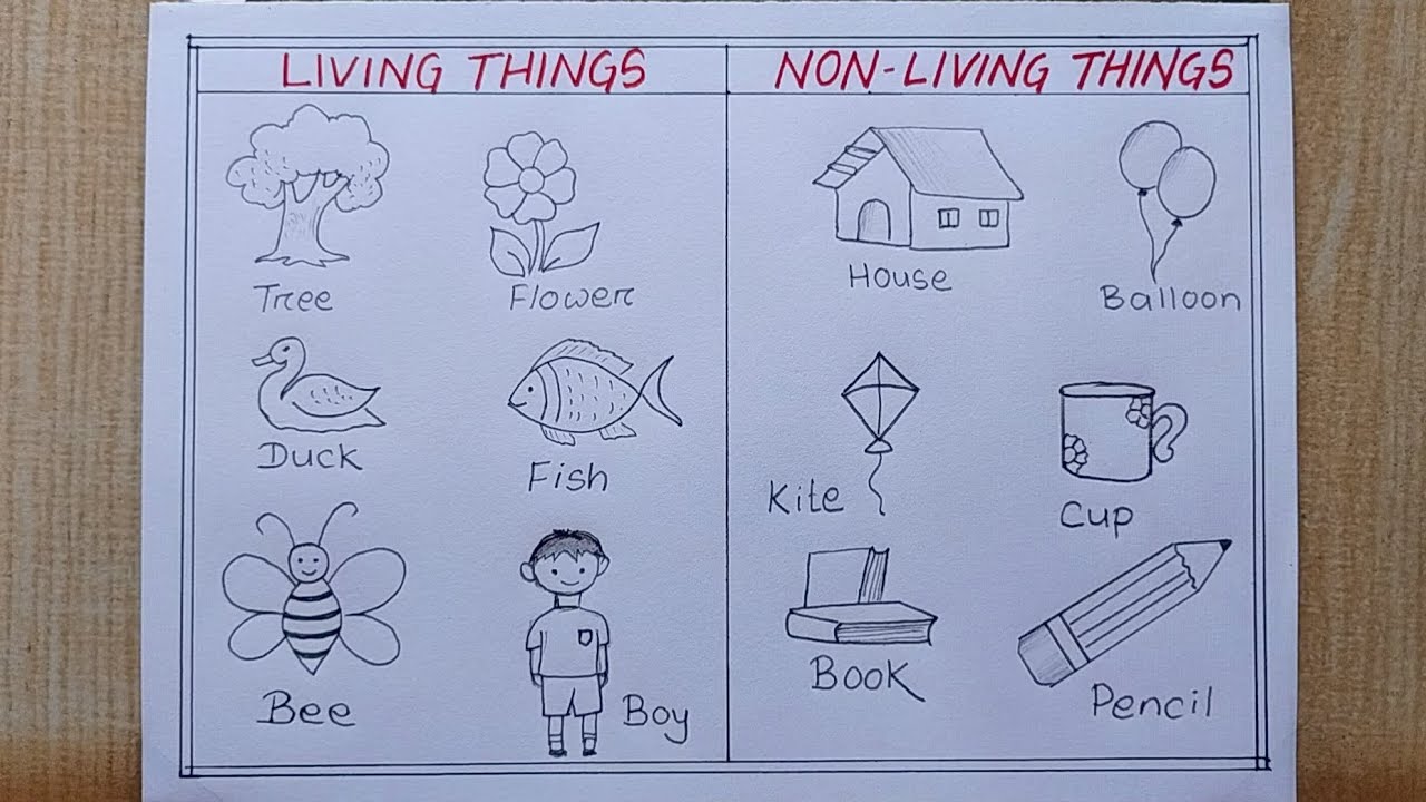 Living Things and Non-living things drawing easy| How to draw Living and Non-living things Chart
