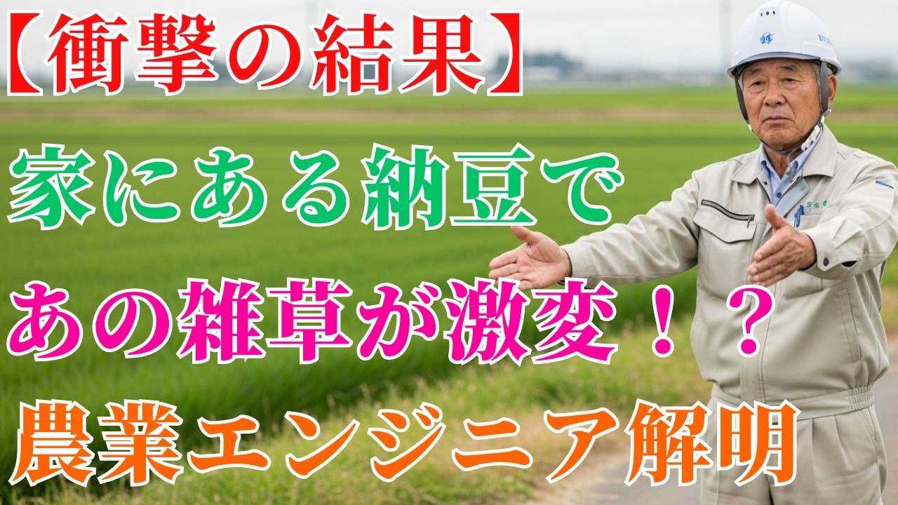 【農業エンジニア視点】雑草が戻る本当の理由は土にある？発酵と土壌環境を整える考え方 | 雑草対策 | 土壌改良 | 発酵 | 庭づくり