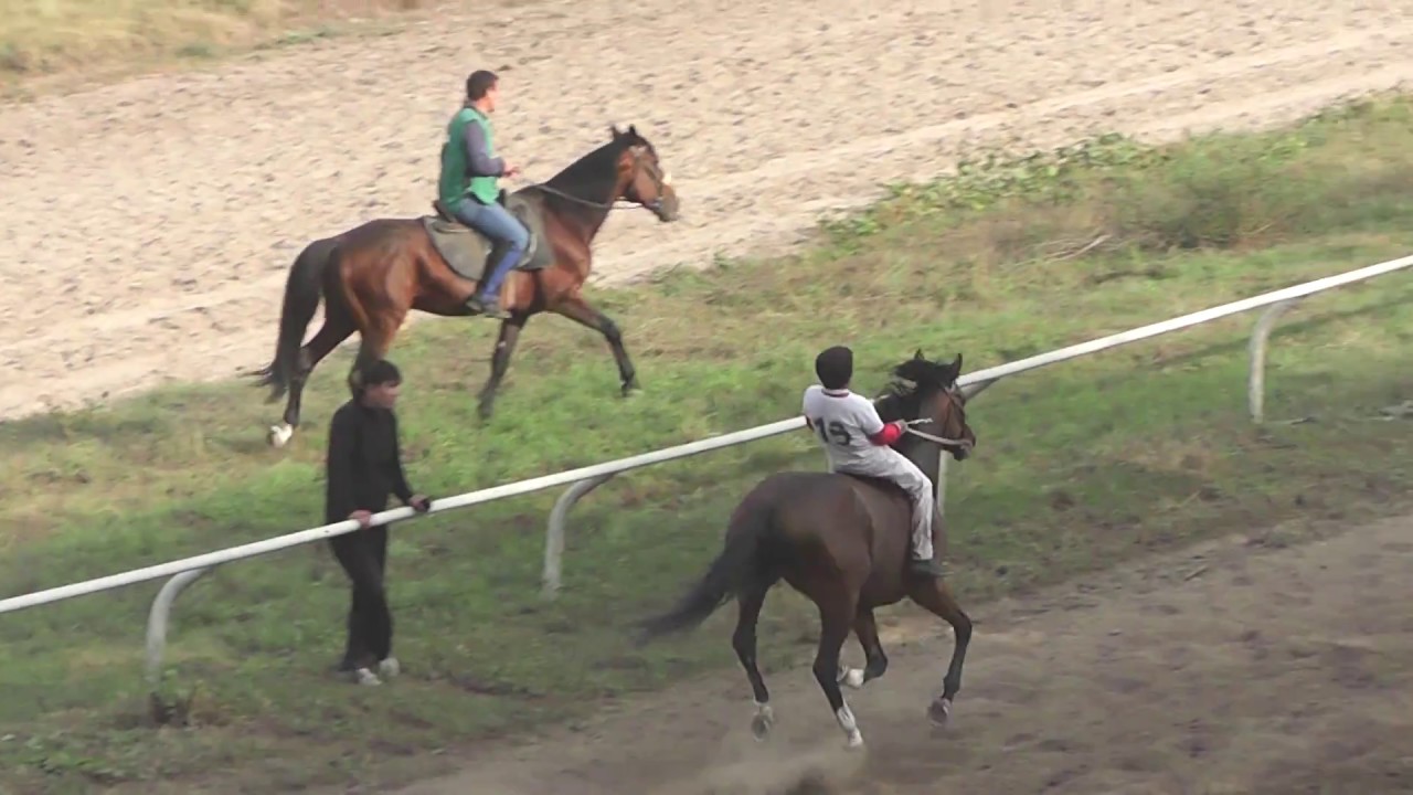 25.09.2016 г. Аламан-байга