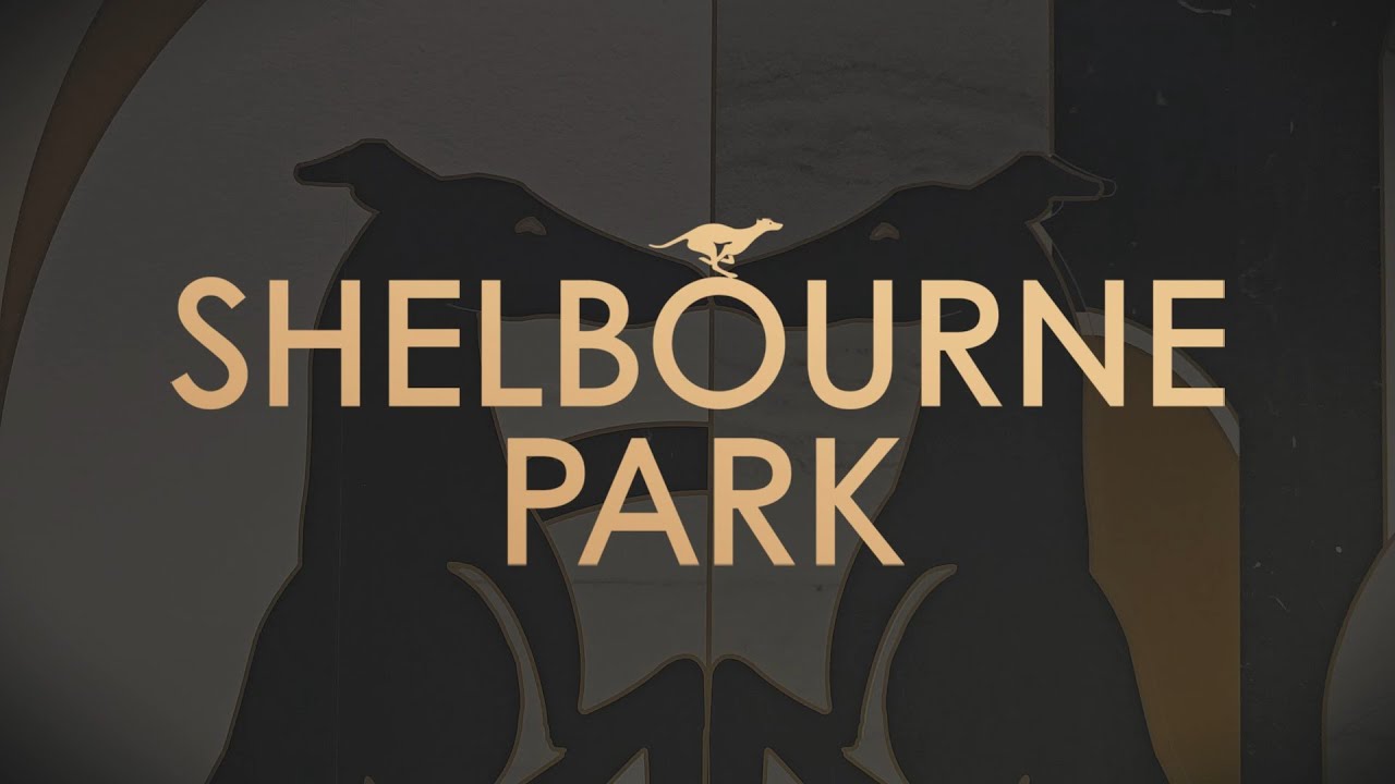 The New Look Shelbourne Park - Your Sneak Peek
