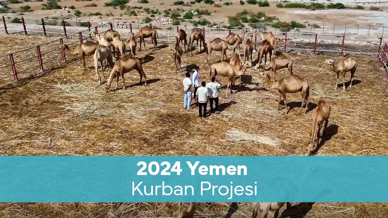Yemen Kurban Projesi | 2024