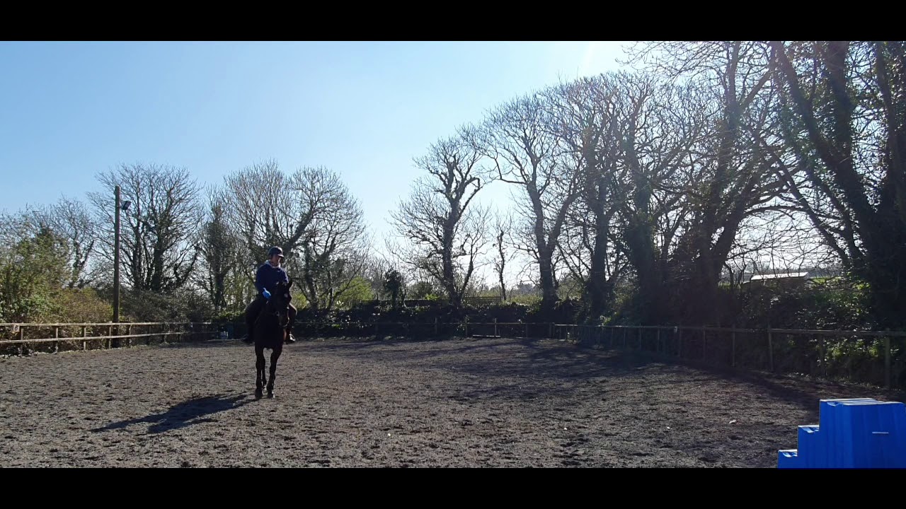 The scales of training - introducing rhythm, suppleness and contact part 2