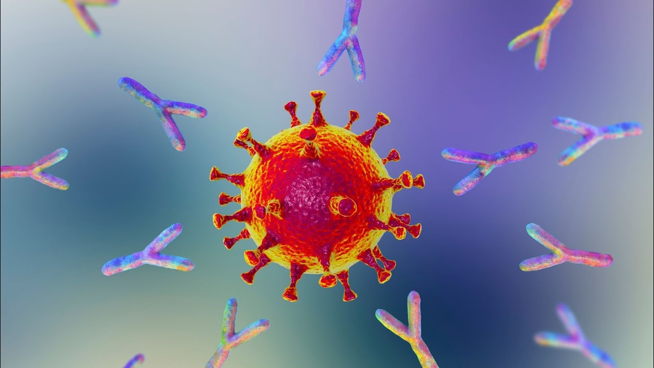 PIERWOTNA I WTÓRNA ODPOWIEDŹ  I PAMIĘĆ IMMUNOLOGICZNA -o co chodzi ??