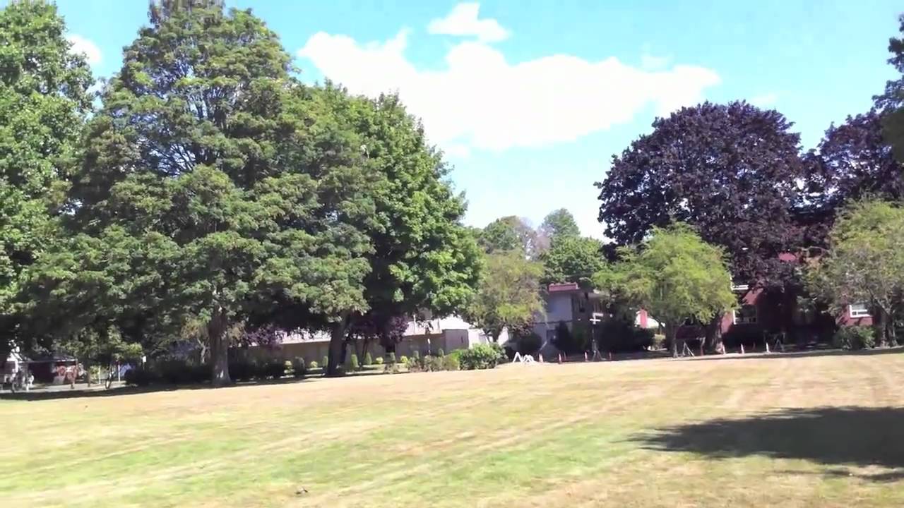 E-Flite Blade 120 SR Micro Helicopter (BNF) at the Park