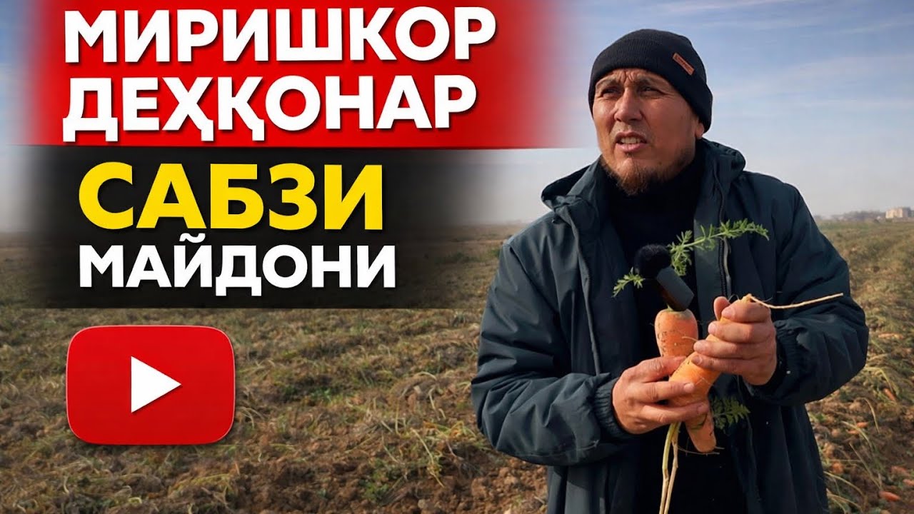 Совуқда ишлаётган дехқонлар | ҚАШҚАДАРЁ