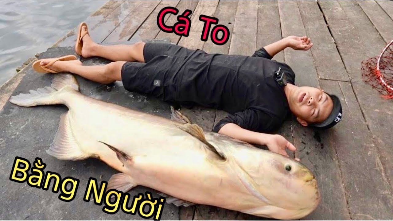 Bay Đi Câu Nước Ngoài, Đụng Con Cá To Bằng Người !
