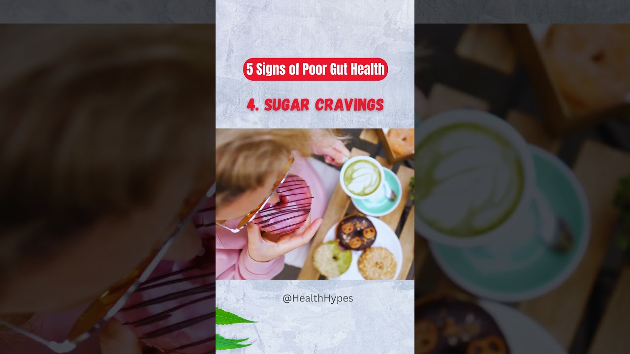 5 Signs of Poor Gut Health - Health Hypes