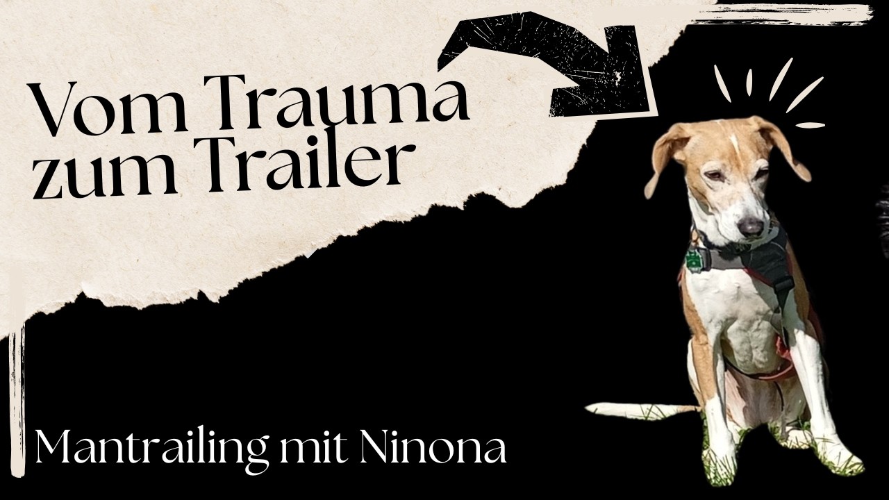 Mantrailing - Traumatherapie wird Selbstwirksamkeit #segugiomaremmano #mantrailing